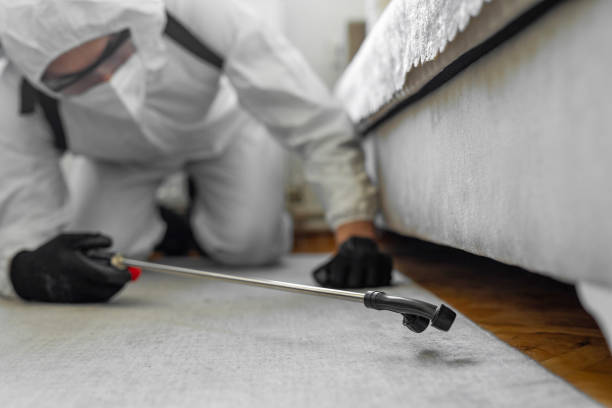 Professional Bed Bug Control technician working in Aspen Hill, MD